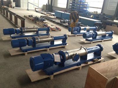 VD060 progressive cavity pump