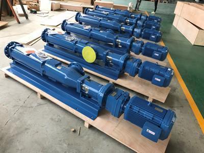 KL65S125.0progressive cavity pump