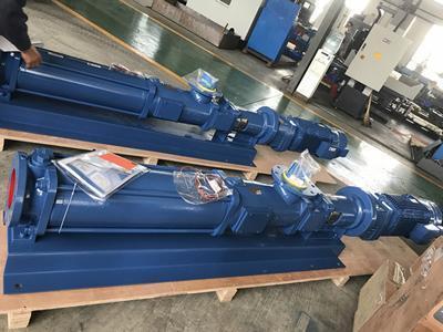 KL65S125.0progressive cavity pump