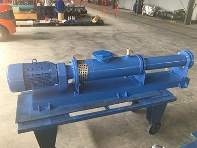 VD060 progressive cavity pump