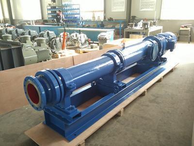 VD100 progressive cavity pump