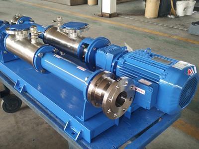 VG040 progressive cavity pump