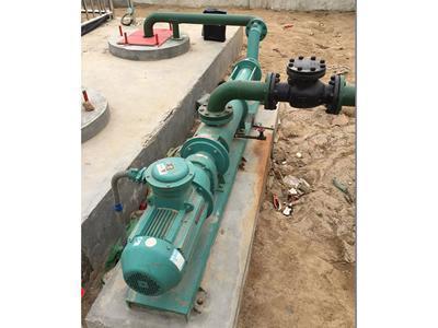 VD060 progressive cavity pump