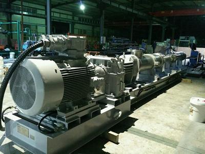 VD100 progressive cavity pump