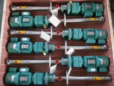 VD020 progressive cavity pump