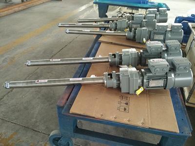 VD010 Vertical progressive cavity pump