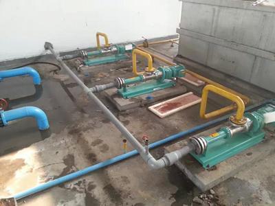 VD030 progressive cavity pump