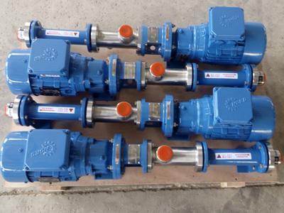 VD020 progressive cavity pump