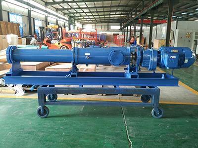 VD100 progressive cavity pump