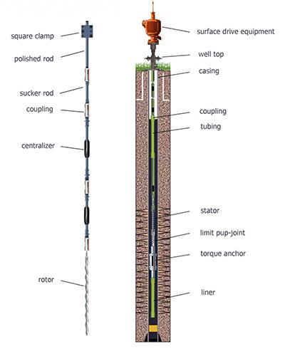 Downhole Progressive Cavity Pump